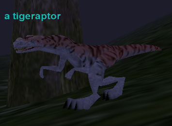 a tigeraptor